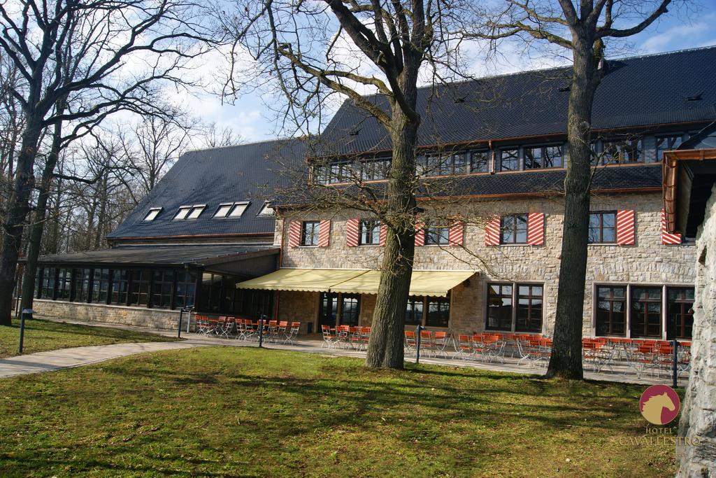 Cavallestro Classic Kitzingen Exterior photo